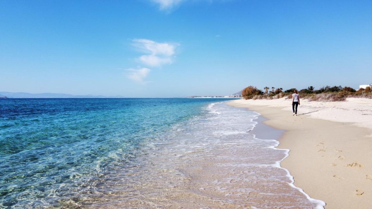 Studios Vrettos Beachfront Hotel Pláka Zewnętrze zdjęcie